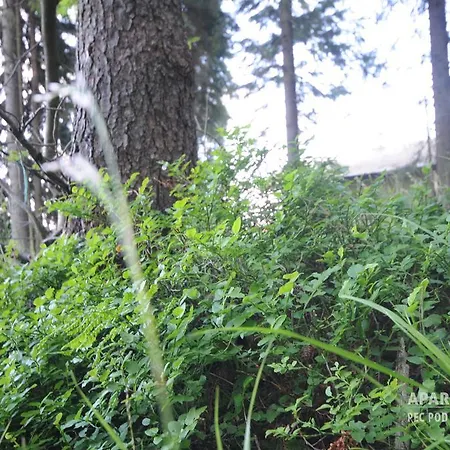 Apartman Pec Pod Snezkou アパート